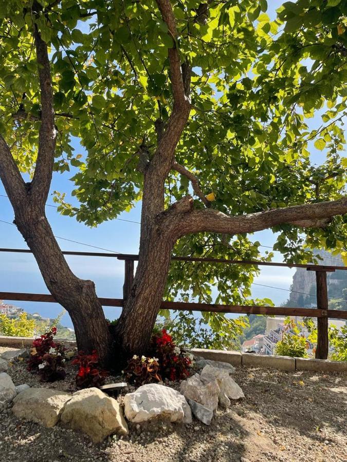 La Villa Di Enzo Casa Vacanze Con Vista Mare Амалфи Екстериор снимка